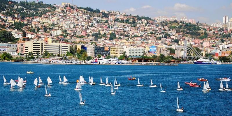 Turkish Airlines Kocaeli Office in Turkey