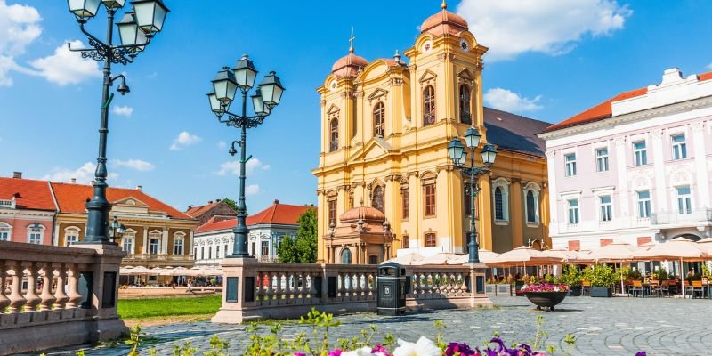 Animawings Airlines Timisoara Office in Romania