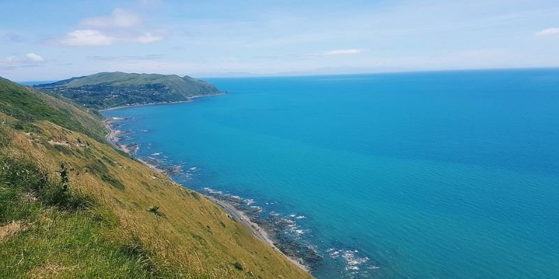 Air Chathams Kapiti Office in New Zealand